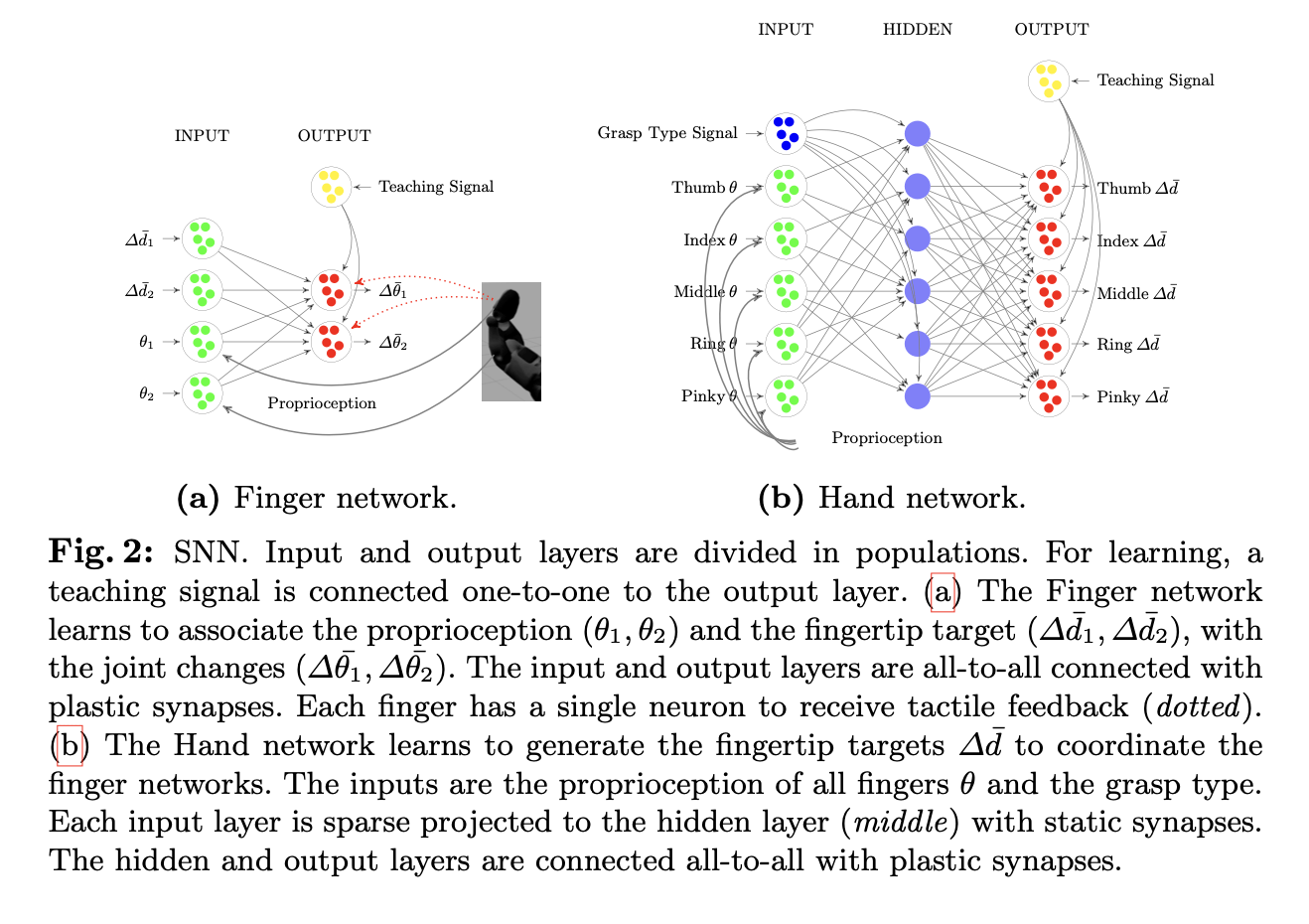 Towards Grasping with Spiking Neural Networks for Anthropomorphic Robot Hands