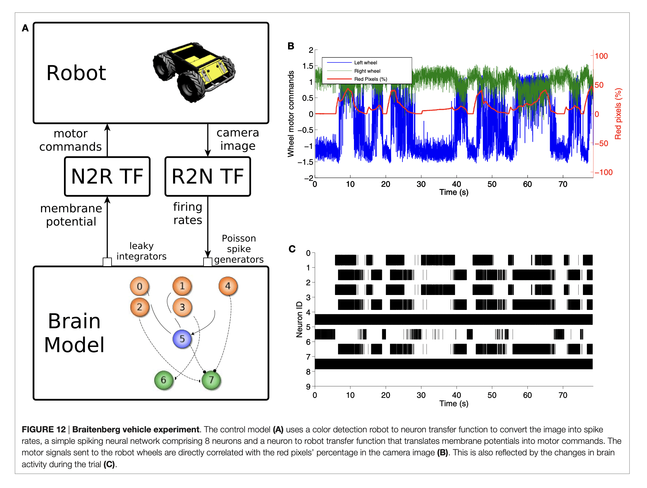 Connecting Artificial Brains to Robots in a Comprehensive Simulation Framework: The Neurorobotics Platform
